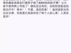 盛京一禾-盛京一禾