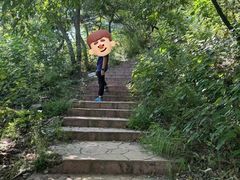 -北京西山国家森林公园