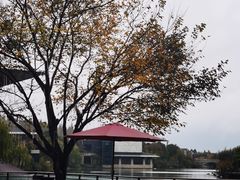 -上海怡沁园度假酒店