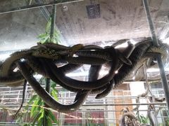 -荔城生鲜盛宴(番禺旗舰店)