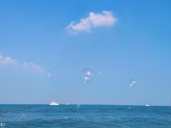 -日照世帆赛基地