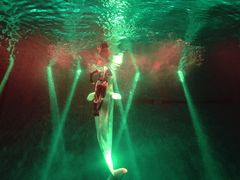 -芜湖新华联大白鲸海洋公园