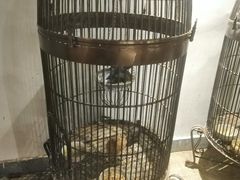 -柴米油盐(土菜院子店)