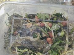 -无影脚佛山陈氏盲公丸始创店(飞鸿街店)