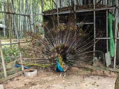 -林丰温泉度假山庄