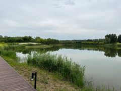 -东郊湿地公园