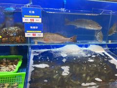 -船梆煮•蒸汽海鲜·生腌干蒸(五四广场店)