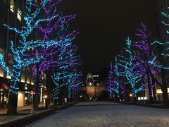 -北海道厅旧本厅舍(旧本庁舎)