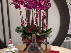 -万豪金殿(香港JW万豪酒店)