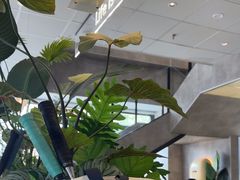 -必胜客(浦上万达店)