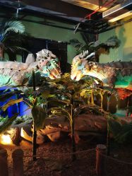 -恐龙探索乐园(磁器口店)