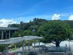 -点都德(广州白云山景区南门店)