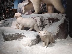 -浙江自然博物院(杭州馆)