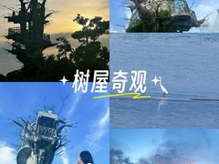 -芒洲湿地公园