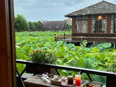 -军山湖云水间生态农业旅游景区