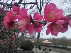 -南通博物苑-崇川人民公园