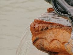 -三江森林温泉度假区