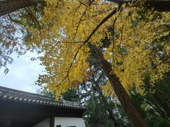 -汇龙潭