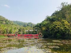 -野象谷景区
