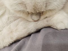 -怪兽屋·羊驼·猫咖·狗咖(俊华广场店)