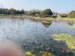 -宜兴龙背山森林公园