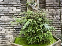 -鱼桥巷·美学川菜