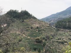 -杨家堂村