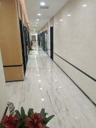 -雍禾植发