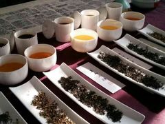 -养心斋涵信茶艺茶道培训