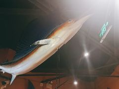 -40+精酿啤酒俱乐部(国投财富广场店)