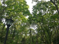 -石井坡(地铁站)