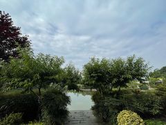 -月湖风景区