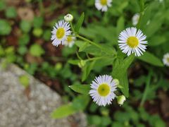 -洋湖国家湿地公园