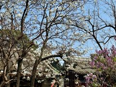 -潭柘寺景区