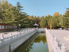 -龙口南山旅游景区