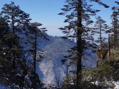 -瓦屋山景区