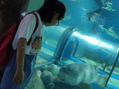 -福州罗源湾海洋世界旅游区