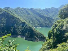 -黑河国家森林公园