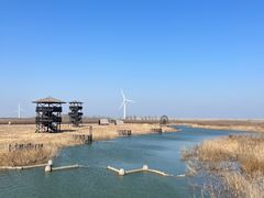 -启东黄金海滩景区
