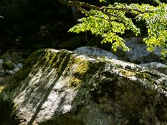 -青峰峡国家森林公园