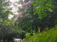 -南宁南湖公园