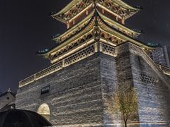 -屈礼洪