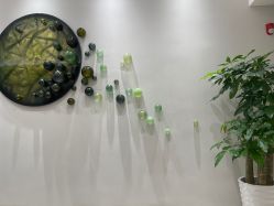 -星和深湾荟医疗美容