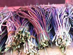 -红土地(地铁站)