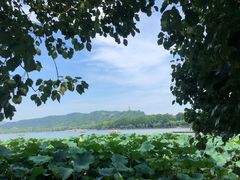-湖畔居茶楼(湖滨店)