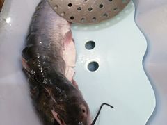 -老刘生态大鱼坊铁锅炖鱼(赛马场店)