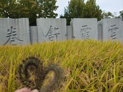 -北坞公园