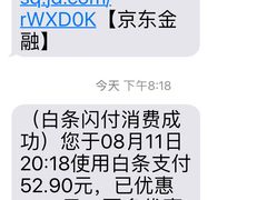 -PIZZERIA大黄鸭披萨