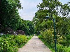 -西溪国家湿地公园