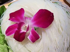 海南米线-椰夫人·养生椰子鸡(金沙洲永旺店)